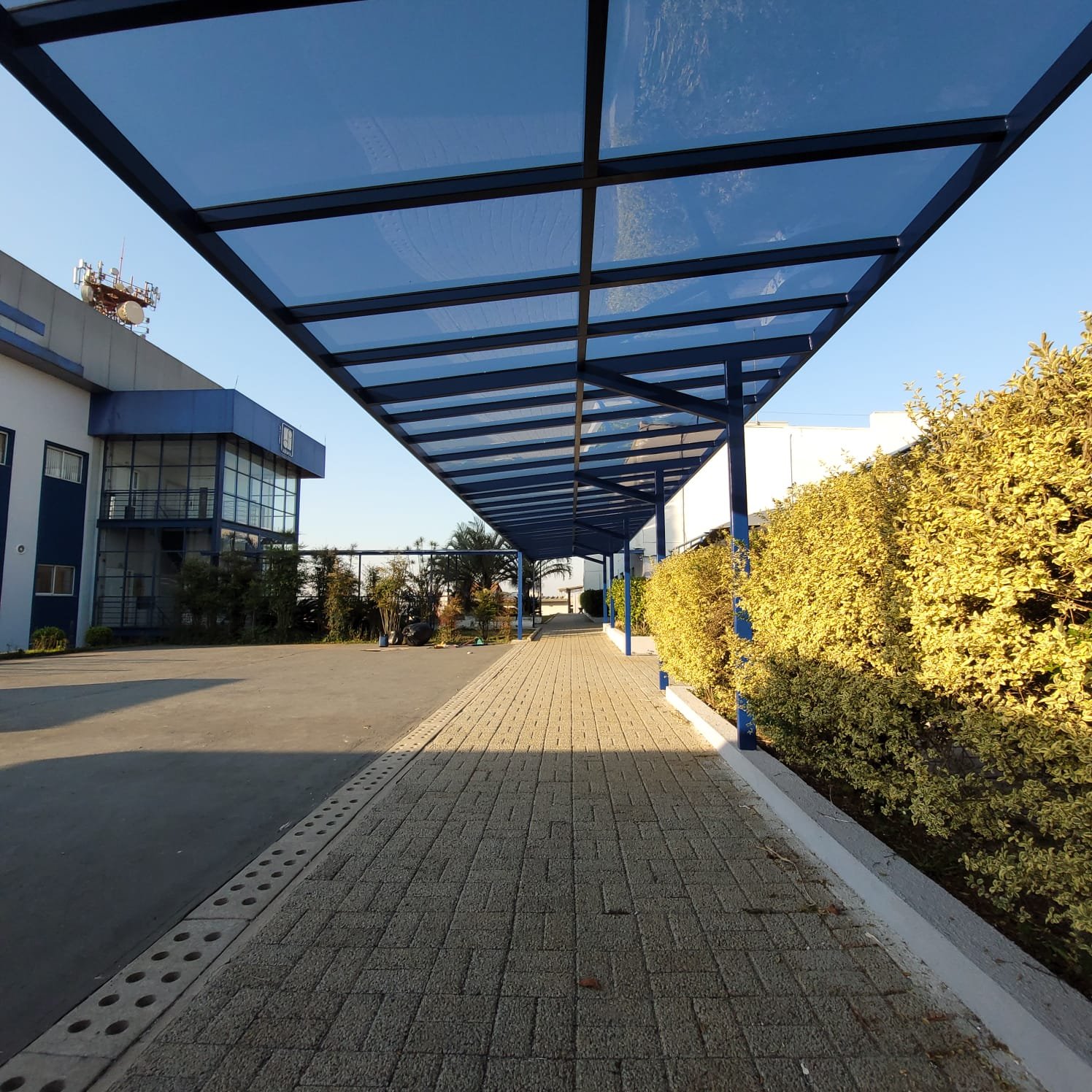 Início 10 WhatsApp Image 2026 01 19 at 15.47.28